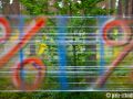 IMG 7272a